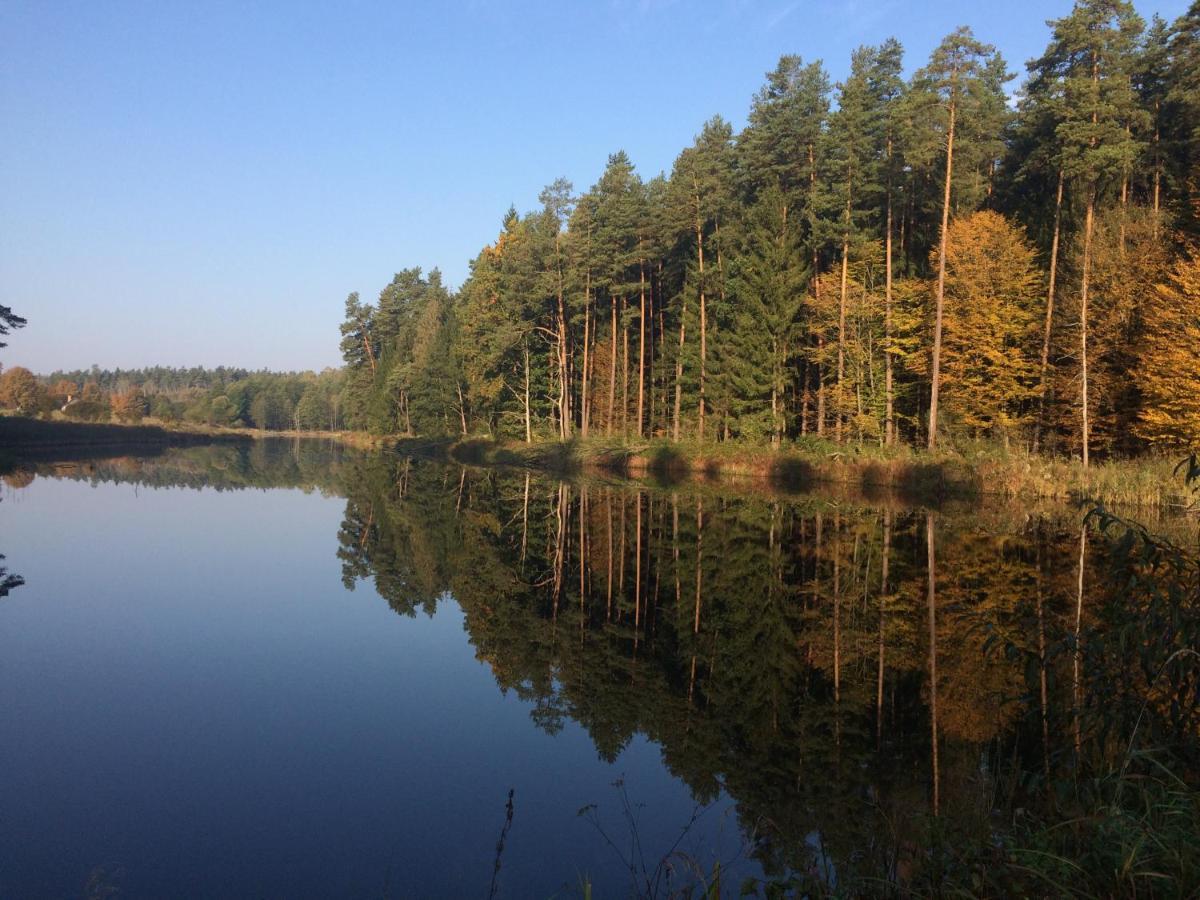 Hajnówka Na Skraju Puszczy 빌라 외부 사진